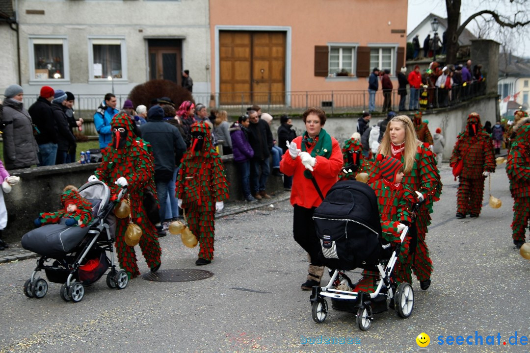 Fasnets-Umzug: Schweiz - Diessenhofen am Bodensee, 13.01.2013