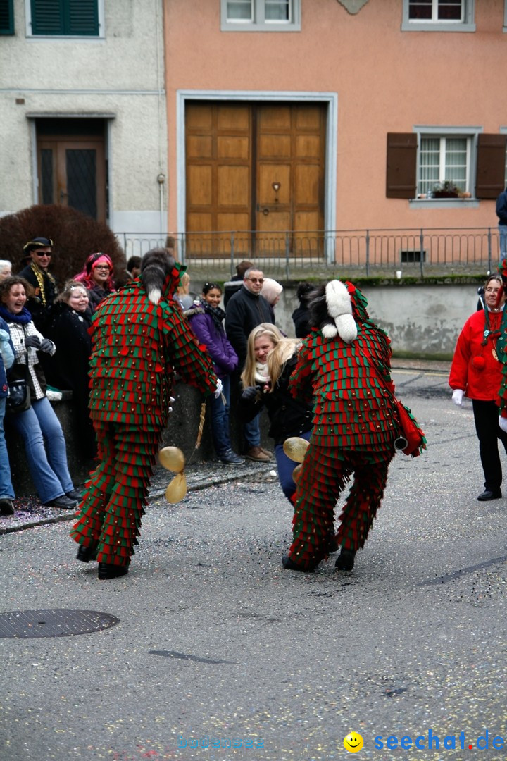 Fasnets-Umzug: Schweiz - Diessenhofen am Bodensee, 13.01.2013