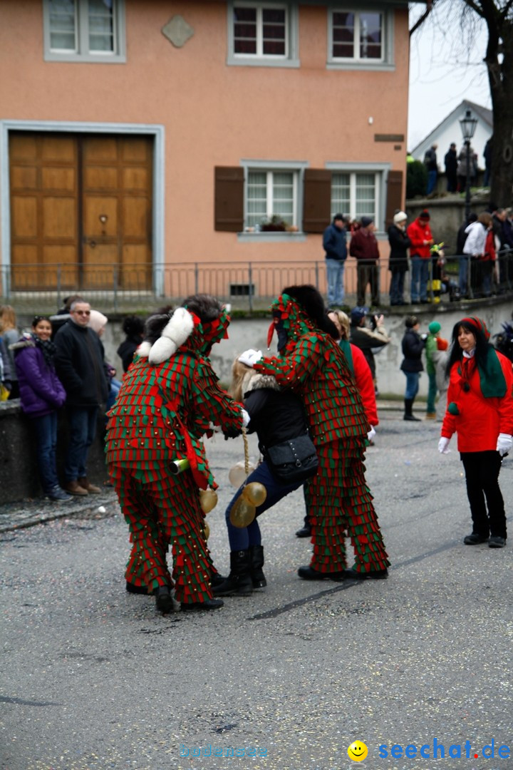 Fasnets-Umzug: Schweiz - Diessenhofen am Bodensee, 13.01.2013