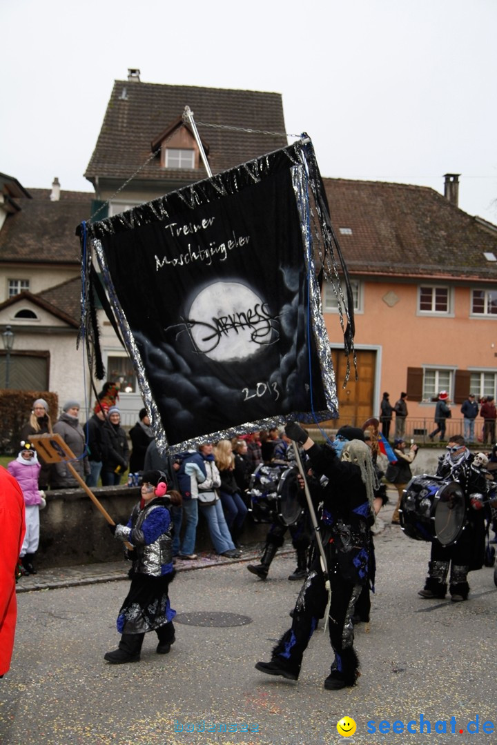 Fasnets-Umzug: Schweiz - Diessenhofen am Bodensee, 13.01.2013