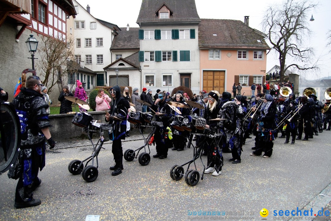 Fasnets-Umzug: Schweiz - Diessenhofen am Bodensee, 13.01.2013