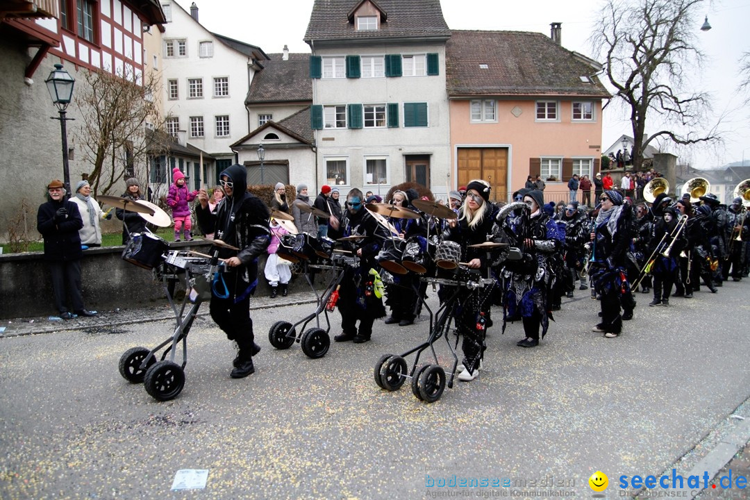 Fasnets-Umzug: Schweiz - Diessenhofen am Bodensee, 13.01.2013