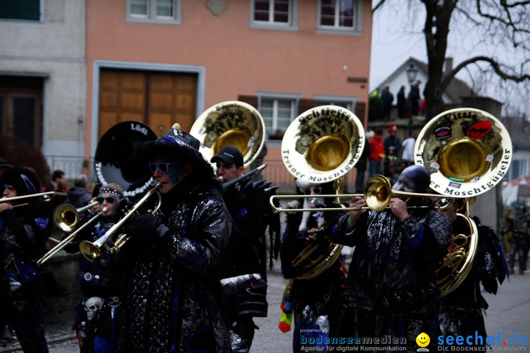 Fasnets-Umzug: Schweiz - Diessenhofen am Bodensee, 13.01.2013