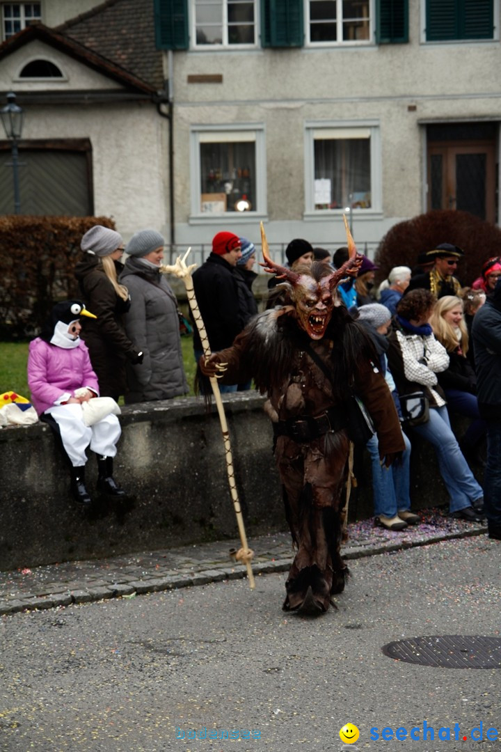 Fasnets-Umzug: Schweiz - Diessenhofen am Bodensee, 13.01.2013