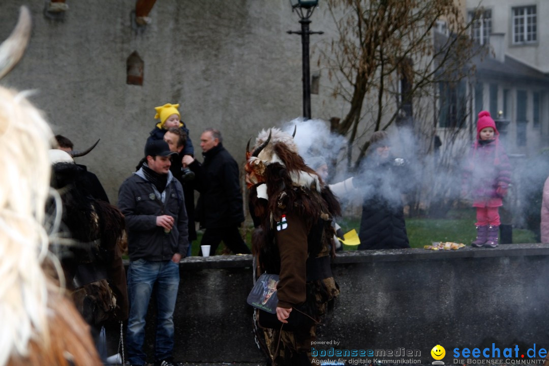 Fasnets-Umzug: Schweiz - Diessenhofen am Bodensee, 13.01.2013