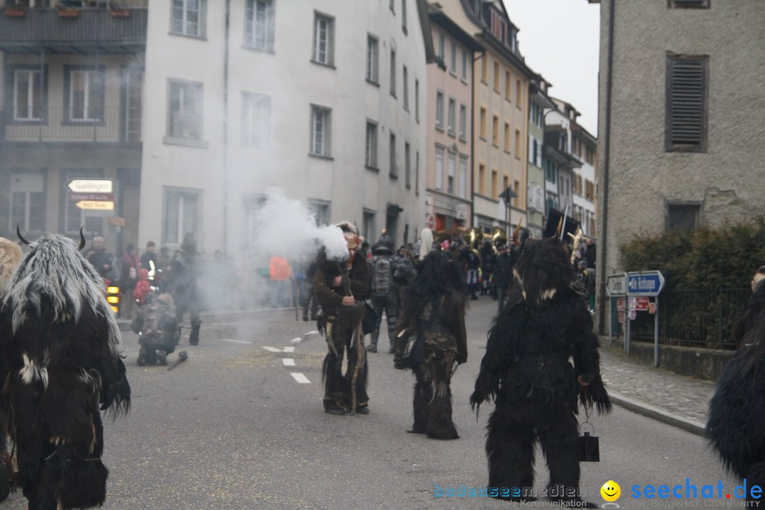 Fasnets-Umzug: Schweiz - Diessenhofen am Bodensee, 13.01.2013