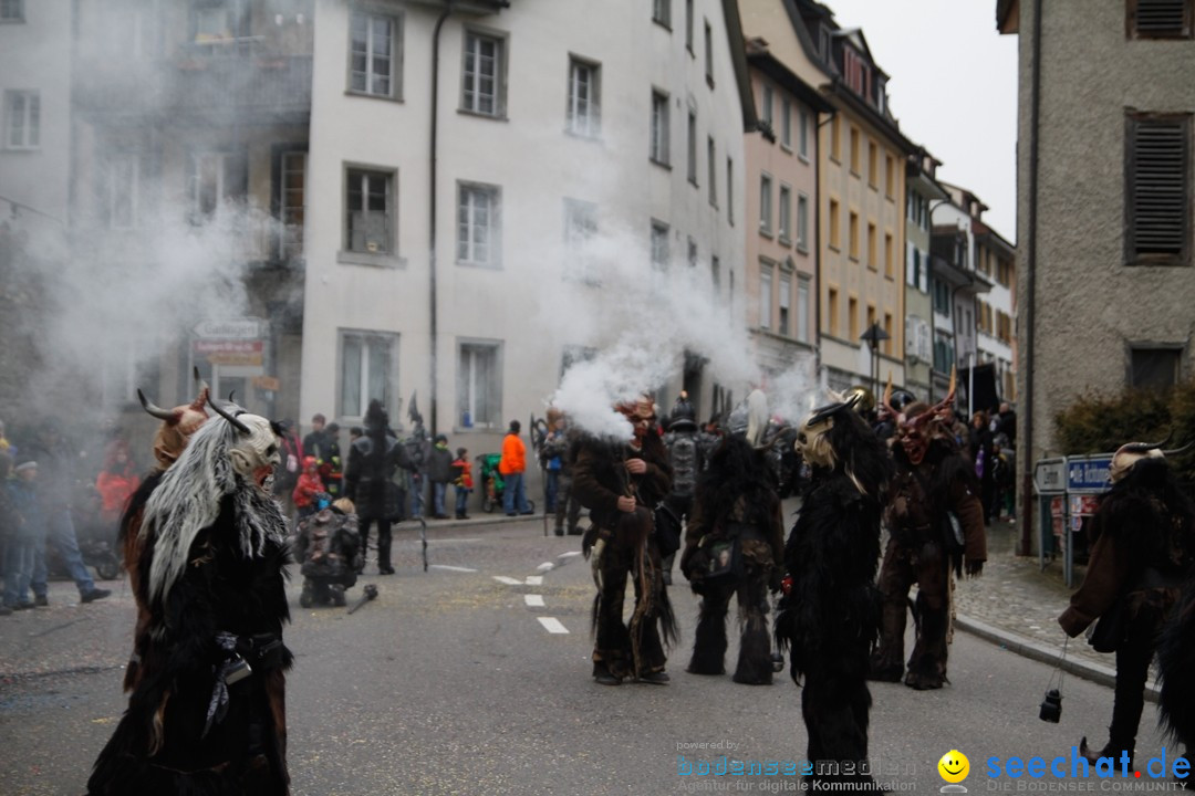 Fasnets-Umzug: Schweiz - Diessenhofen am Bodensee, 13.01.2013