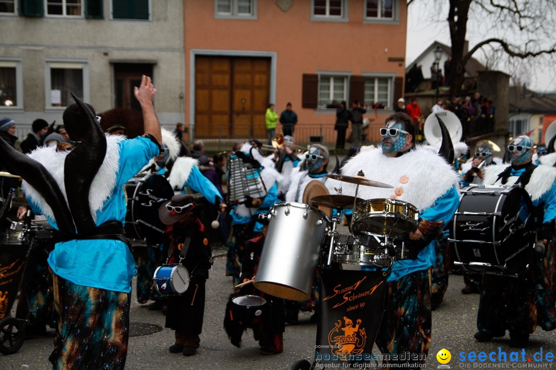 Fasnets-Umzug: Schweiz - Diessenhofen am Bodensee, 13.01.2013