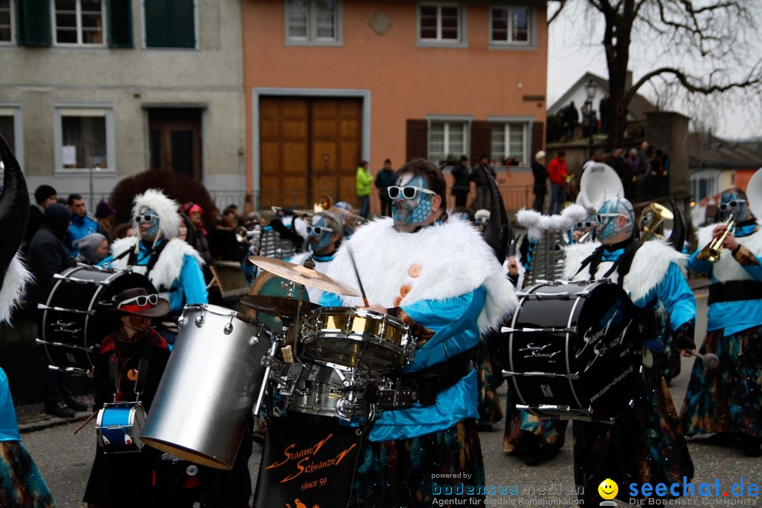 Fasnets-Umzug: Schweiz - Diessenhofen am Bodensee, 13.01.2013