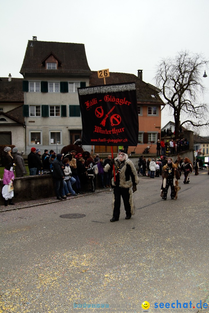 Fasnets-Umzug: Schweiz - Diessenhofen am Bodensee, 13.01.2013