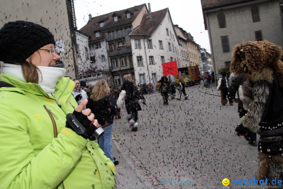 Fasnets-Umzug: Schweiz - Diessenhofen am Bodensee, 13.01.2013