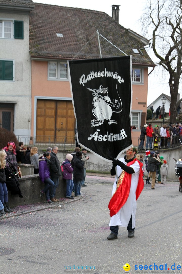 Fasnets-Umzug: Schweiz - Diessenhofen am Bodensee, 13.01.2013