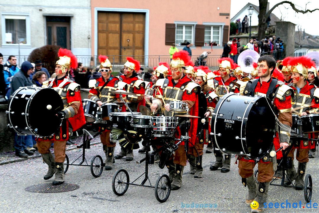 Fasnets-Umzug: Schweiz - Diessenhofen am Bodensee, 13.01.2013