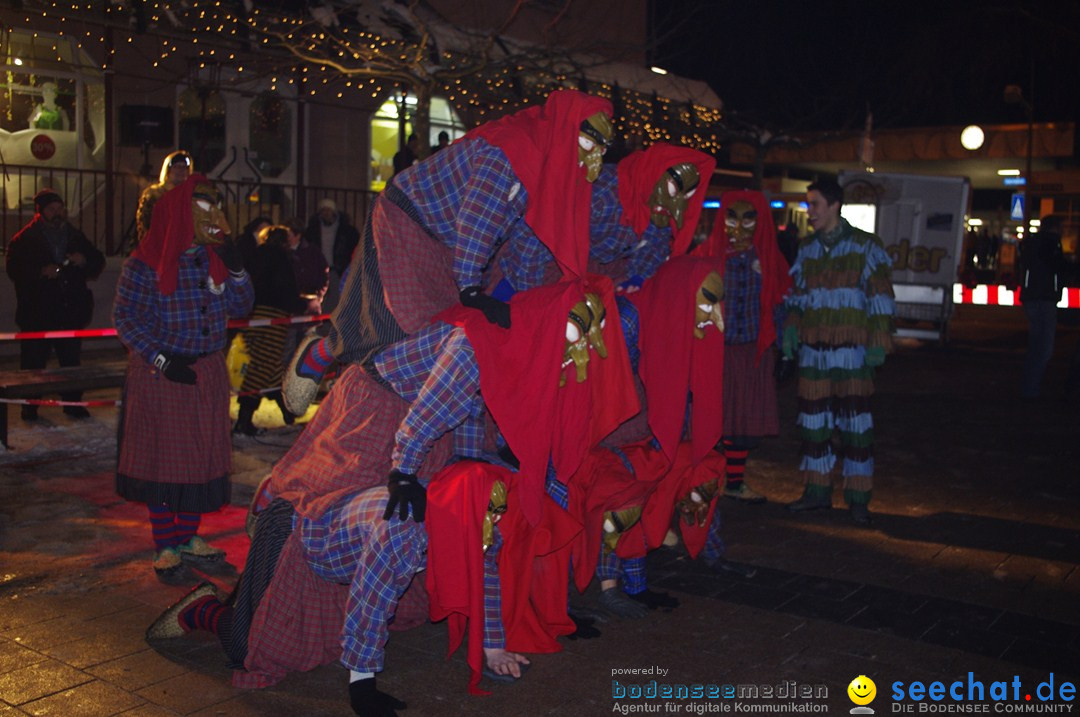 Narrentreffen: Radolfzell am Bodensee, 18.01.2013