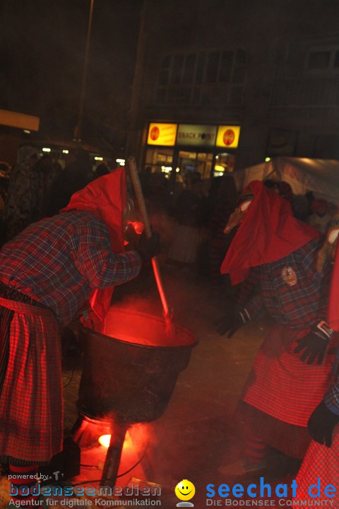 Narrentreffen: Radolfzell am Bodensee, 18.01.2013