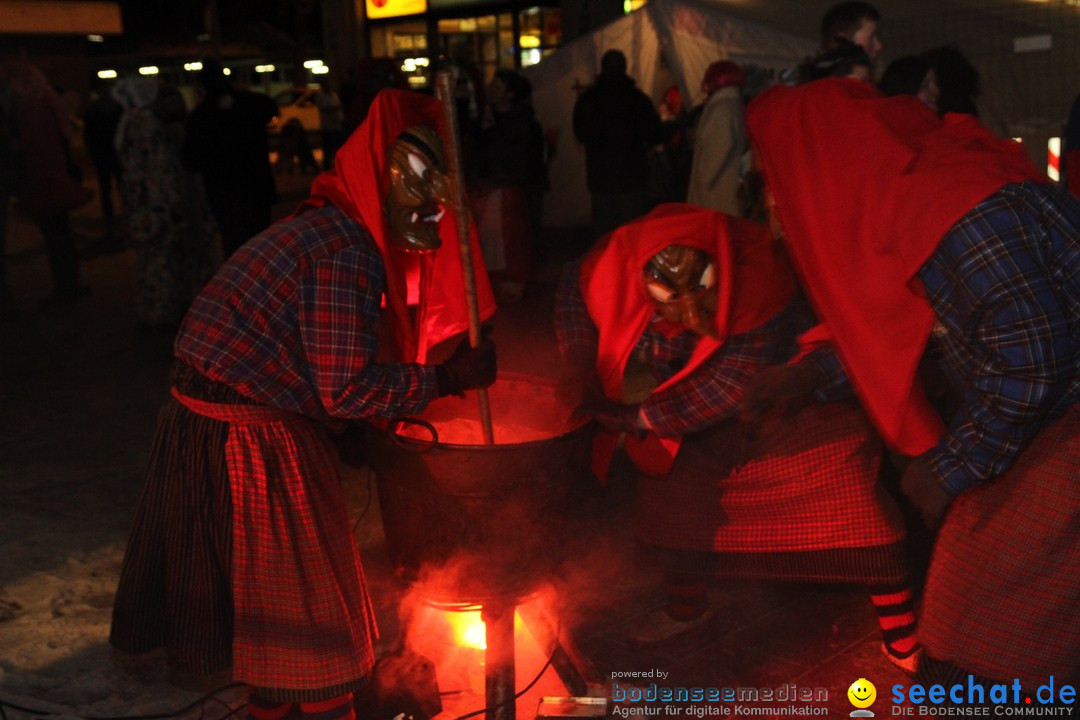 Narrentreffen: Radolfzell am Bodensee, 18.01.2013