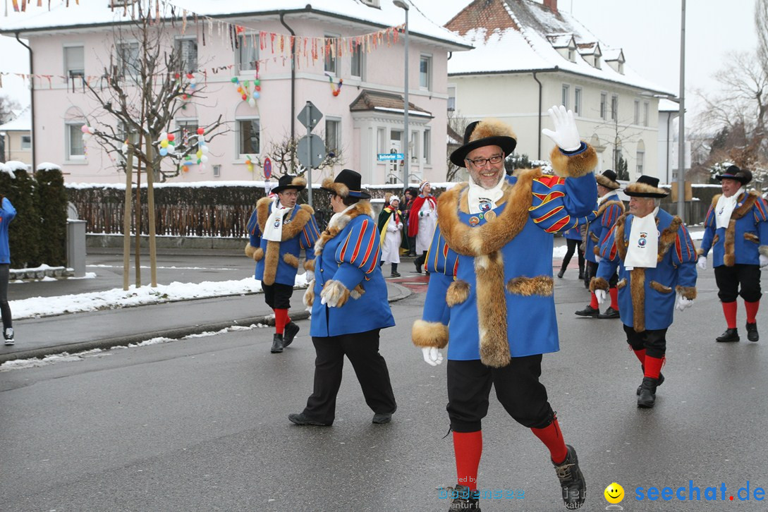 Narrentreffen-Radolfzell-20012013-bodensee-community-seechat-de_10.JPG