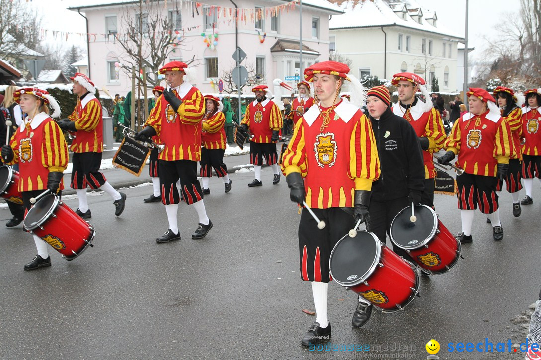 Narrentreffen-Radolfzell-20012013-bodensee-community-seechat-de_10.JPG