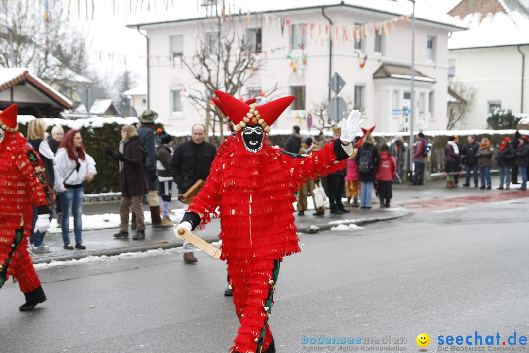 Narrentreffen-Radolfzell-20012013-bodensee-community-seechat-de_10.JPG