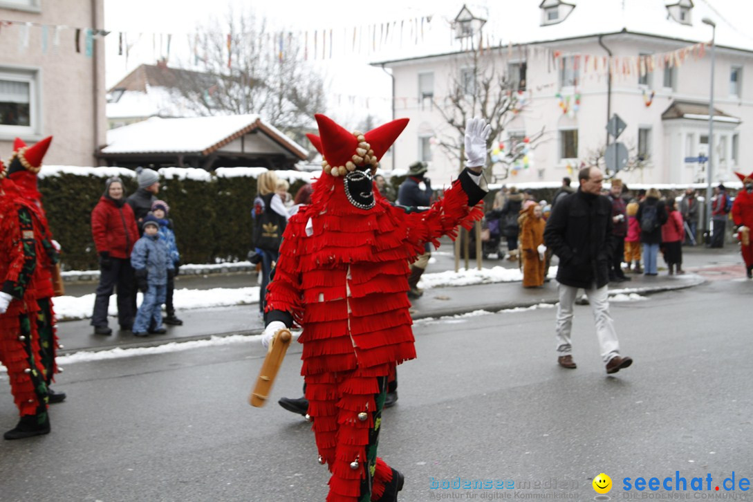 Narrentreffen-Radolfzell-20012013-bodensee-community-seechat-de_100.JPG