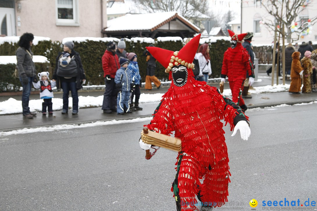 Narrentreffen-Radolfzell-20012013-bodensee-community-seechat-de_101.JPG