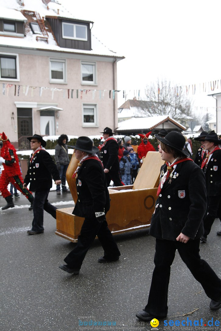 Narrentreffen-Radolfzell-20012013-bodensee-community-seechat-de_103.JPG