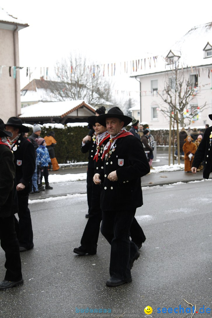 Narrentreffen-Radolfzell-20012013-bodensee-community-seechat-de_104.JPG