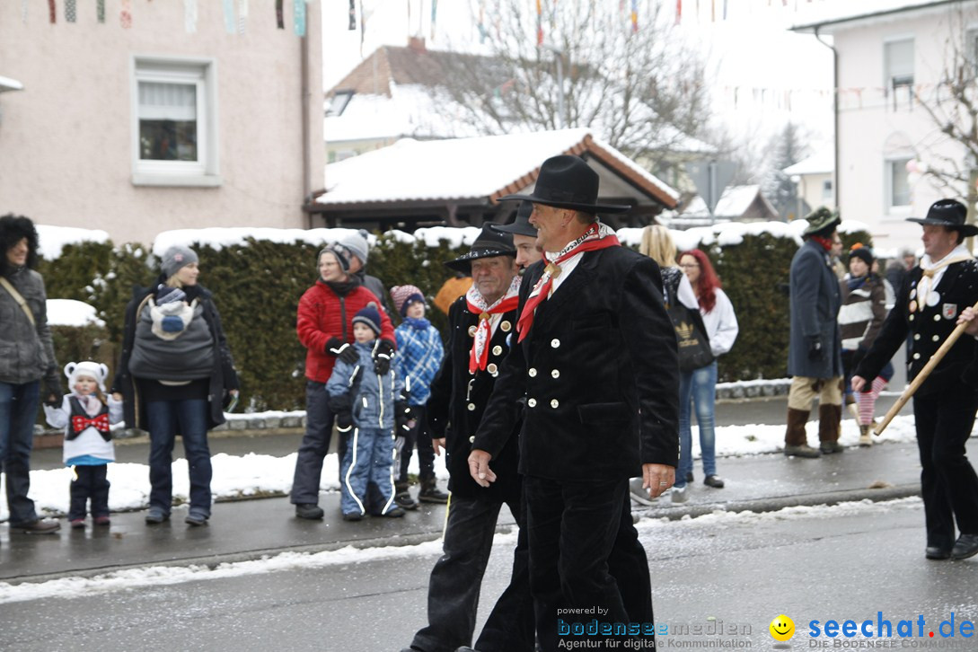 Narrentreffen-Radolfzell-20012013-bodensee-community-seechat-de_105.JPG