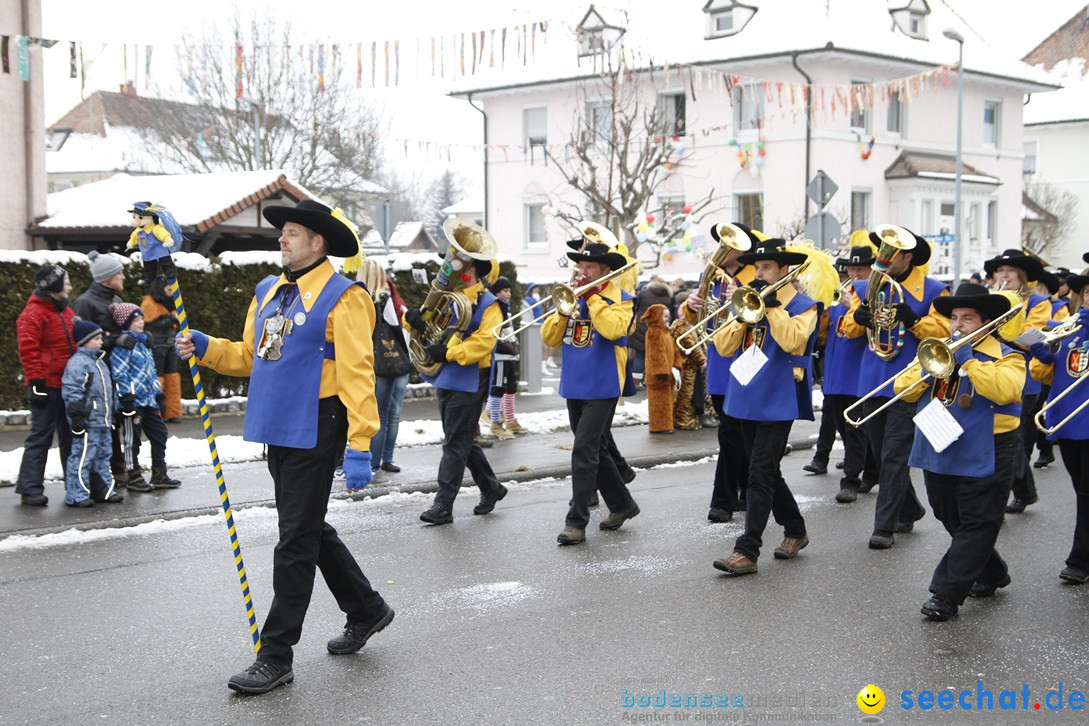 Narrentreffen-Radolfzell-20012013-bodensee-community-seechat-de_108.JPG