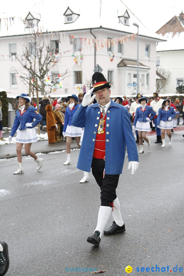 Narrentreffen-Radolfzell-20012013-bodensee-community-seechat-de_111.JPG