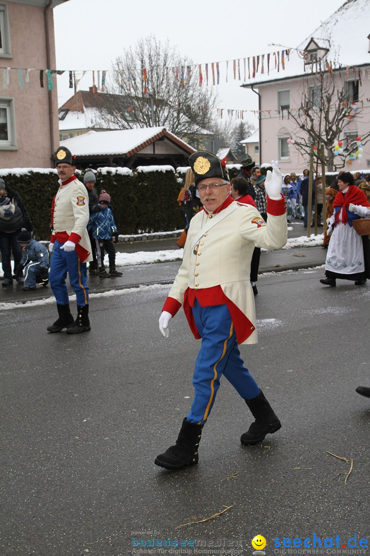 Narrentreffen-Radolfzell-20012013-bodensee-community-seechat-de_113.JPG