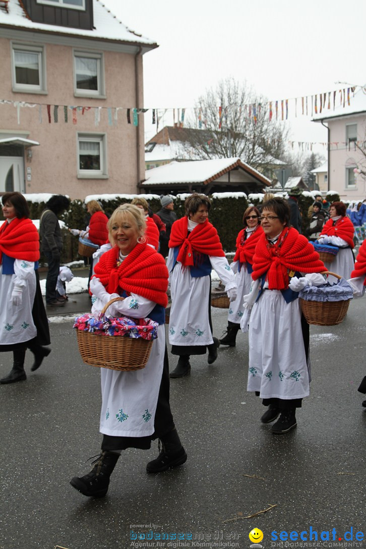 Narrentreffen-Radolfzell-20012013-bodensee-community-seechat-de_116.JPG