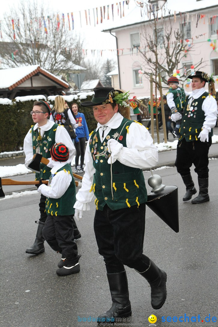 Narrentreffen-Radolfzell-20012013-bodensee-community-seechat-de_119.JPG