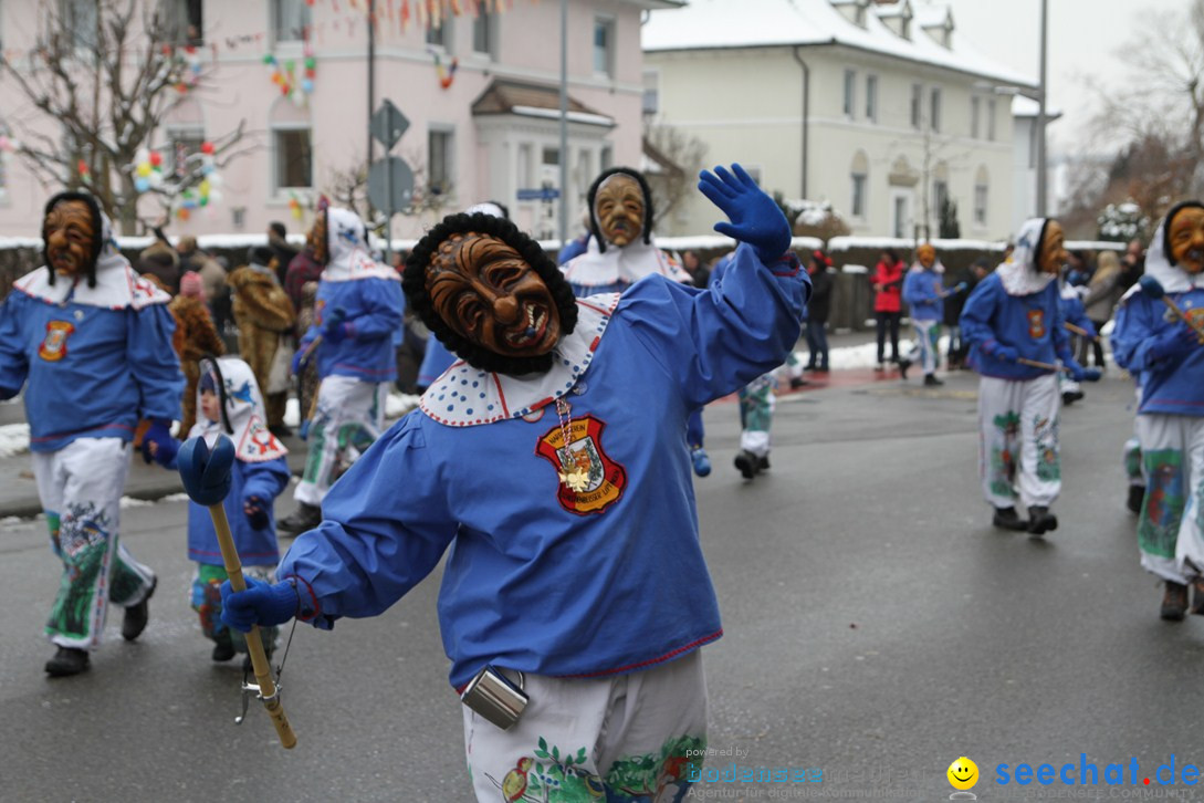 Narrentreffen-Radolfzell-20012013-bodensee-community-seechat-de_12.JPG