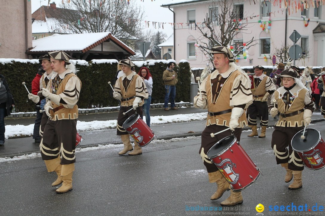 Narrentreffen-Radolfzell-20012013-bodensee-community-seechat-de_122.JPG