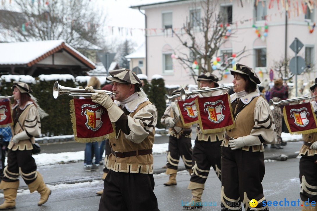 Narrentreffen-Radolfzell-20012013-bodensee-community-seechat-de_123.JPG