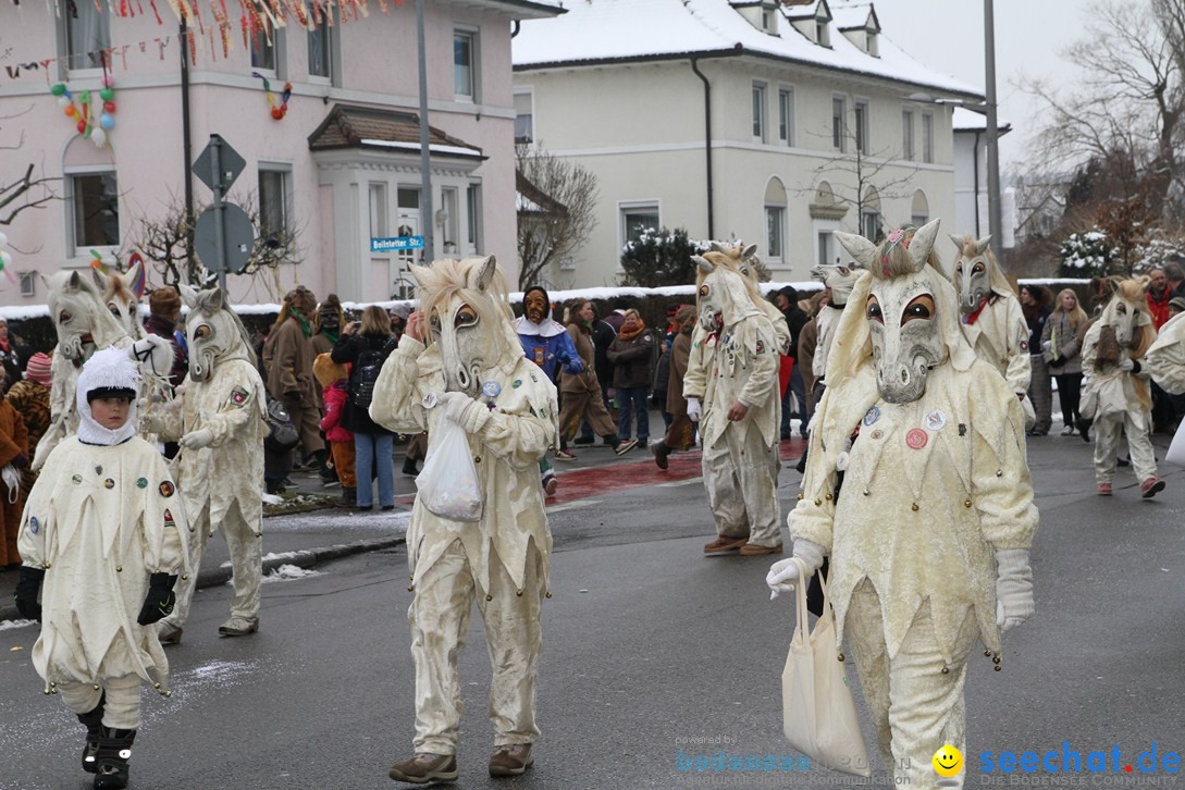 Narrentreffen-Radolfzell-20012013-bodensee-community-seechat-de_124.JPG