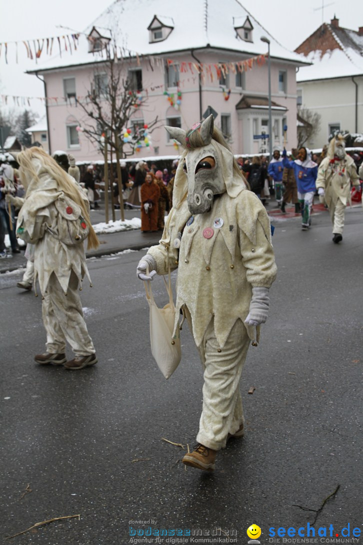 Narrentreffen-Radolfzell-20012013-bodensee-community-seechat-de_125.JPG