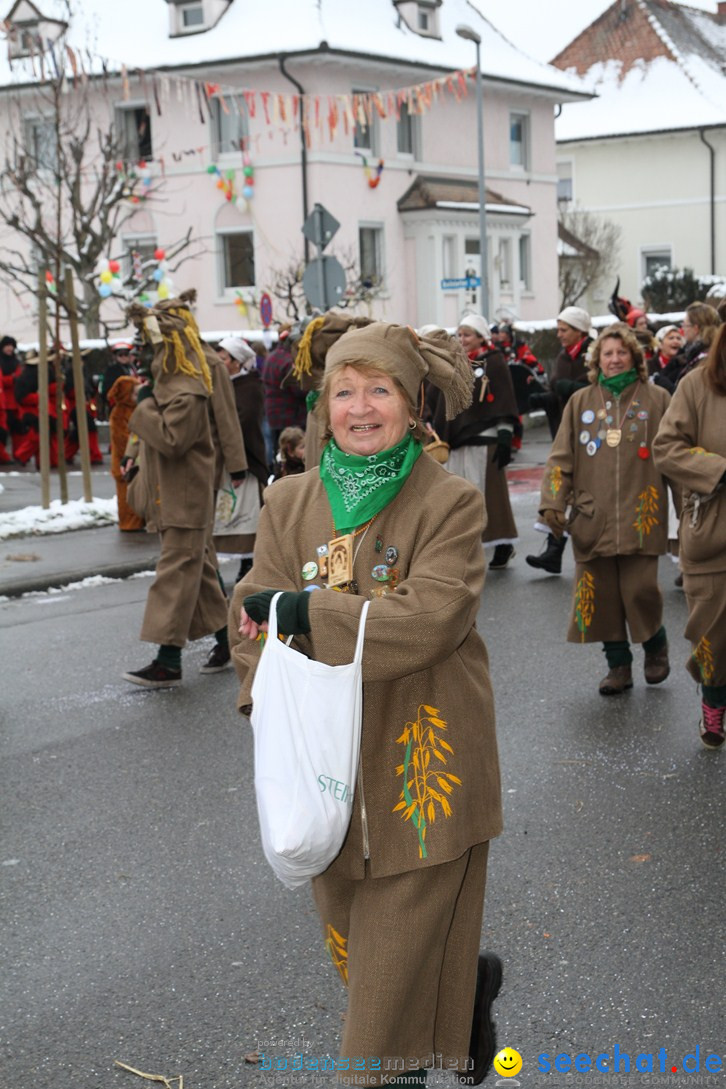 Narrentreffen-Radolfzell-20012013-bodensee-community-seechat-de_126.JPG