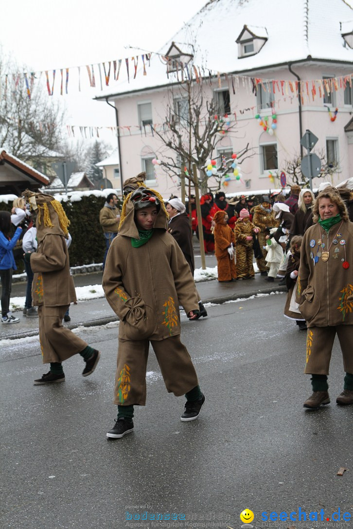 Narrentreffen-Radolfzell-20012013-bodensee-community-seechat-de_127.JPG