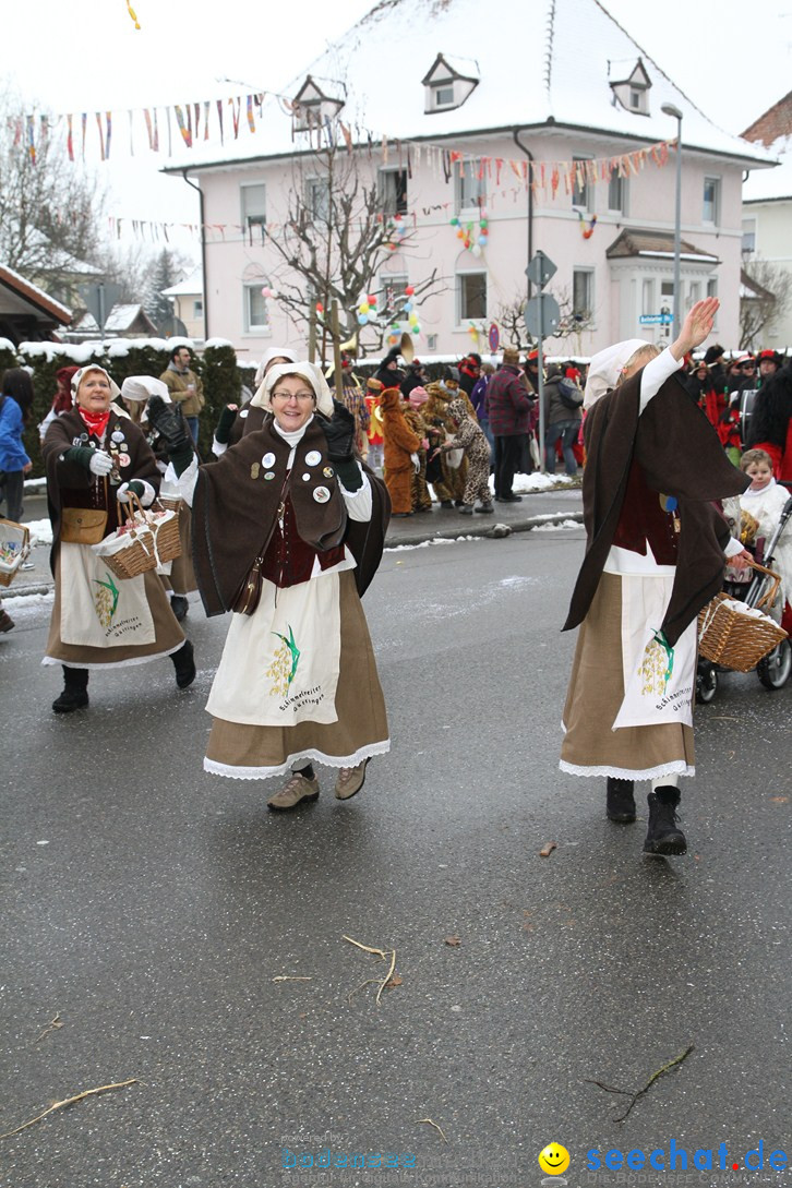 Narrentreffen-Radolfzell-20012013-bodensee-community-seechat-de_128.JPG