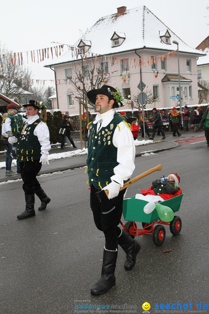 Narrentreffen-Radolfzell-20012013-bodensee-community-seechat-de_129.JPG