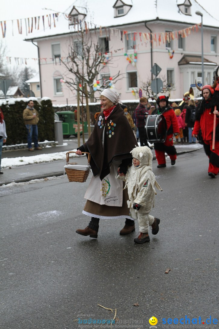 Narrentreffen-Radolfzell-20012013-bodensee-community-seechat-de_13.JPG