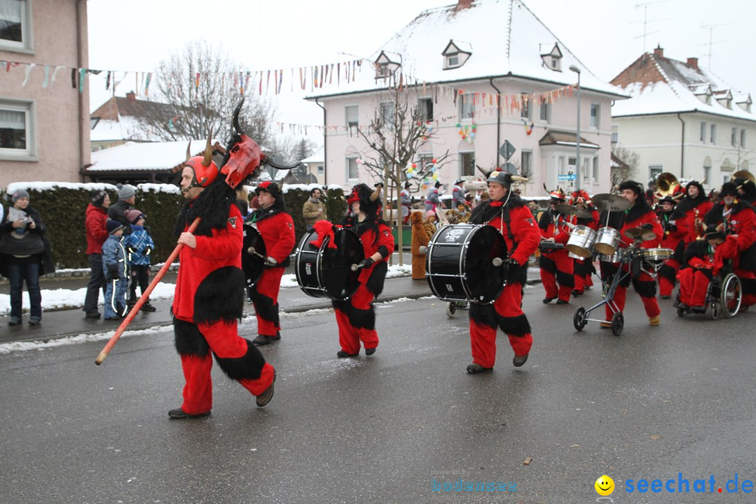 Narrentreffen-Radolfzell-20012013-bodensee-community-seechat-de_130.JPG