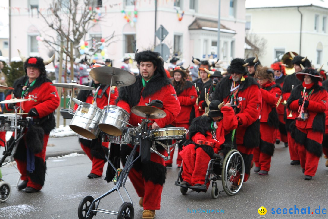 Narrentreffen-Radolfzell-20012013-bodensee-community-seechat-de_131.JPG