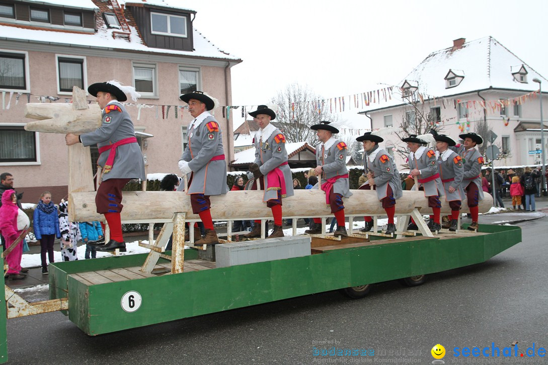 Narrentreffen-Radolfzell-20012013-bodensee-community-seechat-de_134.JPG