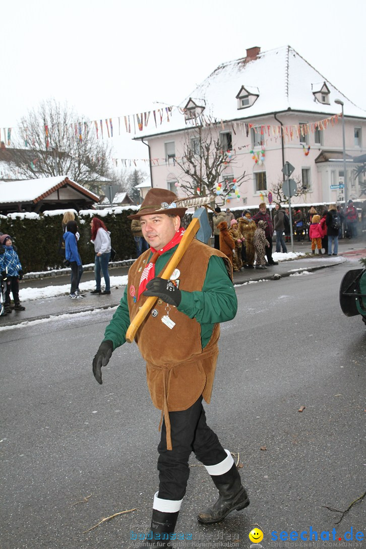 Narrentreffen-Radolfzell-20012013-bodensee-community-seechat-de_136.JPG