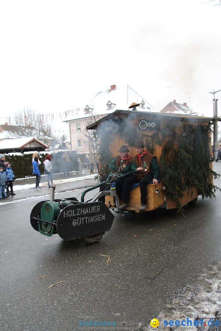 Narrentreffen-Radolfzell-20012013-bodensee-community-seechat-de_138.JPG