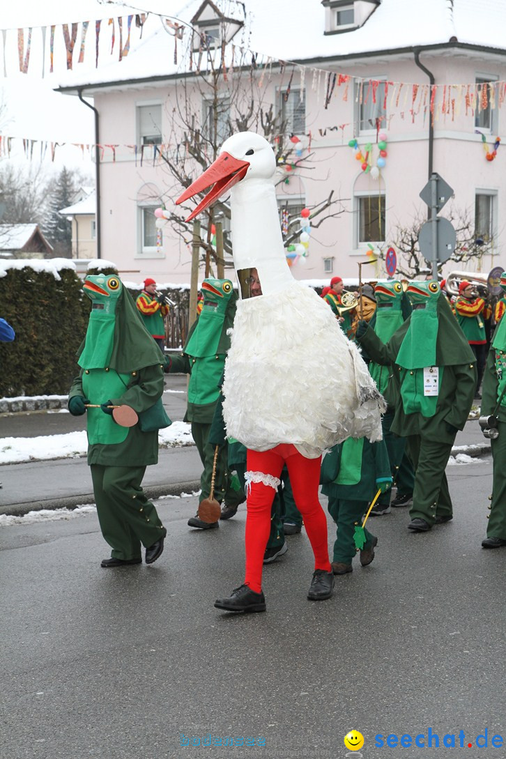 Narrentreffen-Radolfzell-20012013-bodensee-community-seechat-de_139.JPG