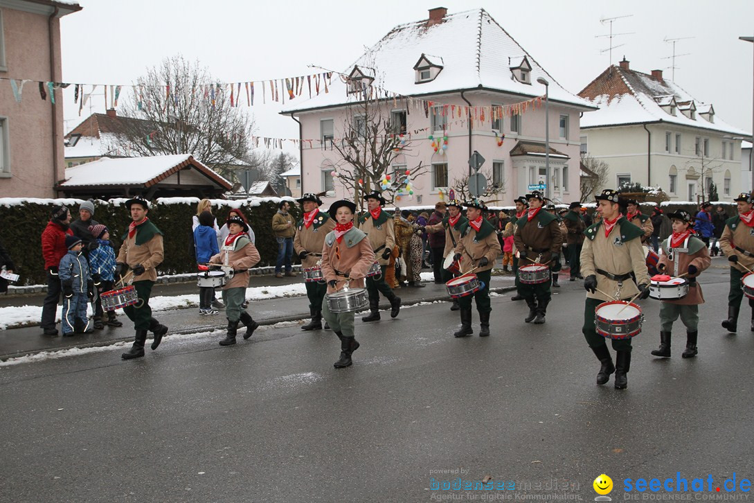 Narrentreffen-Radolfzell-20012013-bodensee-community-seechat-de_14.JPG